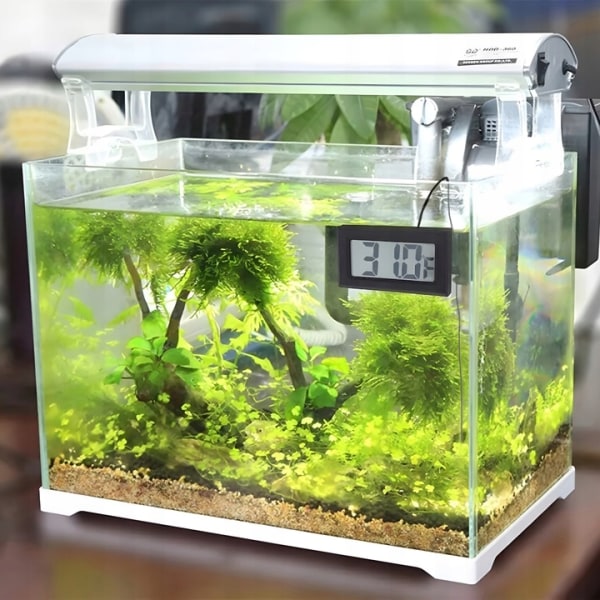 Akvarietermometer med sond - Precisions digital elektronisk termometer