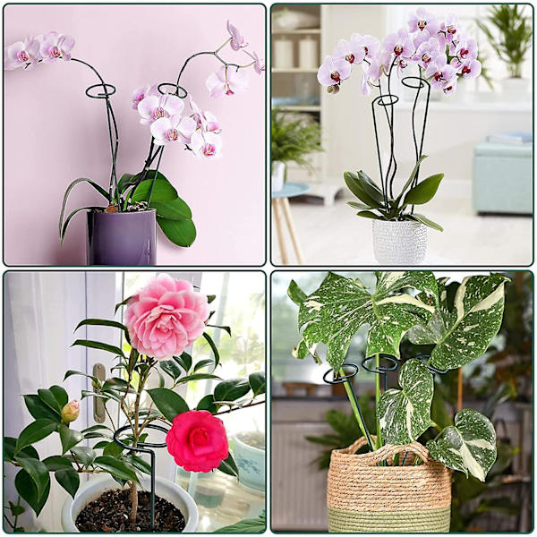Set med 10 metallplantstöd, blompinnar för robusta trädgårdsväxter för amaryllis, liljor, pioner, papperssnödrose, orkidéer