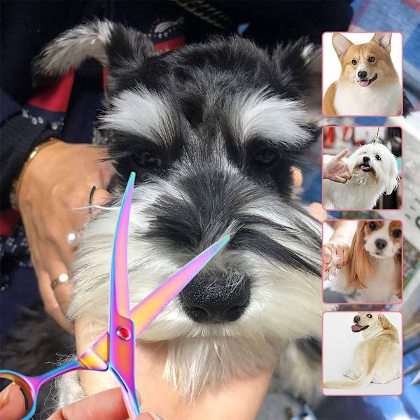 Pelsaks, Buet Saks til Hunde og Katte, Rustfrit Stål, Professionel Pels Pletning