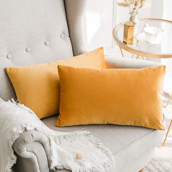 Sett med 2 fløyels putetrekk Dekorative sofa putetrekk Supermyk myk komfortabel dekorasjon Hjem Stue Soverom For sofa 35x35cm Mørk Grå