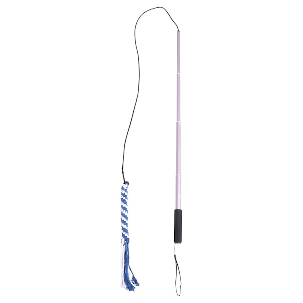 Interaktiva Hundleksaker Utdragbar Flirt Pole Rolig Jakt Svansretare och Träningsredskap för Husdjur (svart 26*3*3cm
