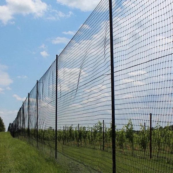 Sort nylon anti-fuglenet net, der er kompatibelt med frugtafgrøde plantetræ Fugleforebyggende net 15x7,5 m