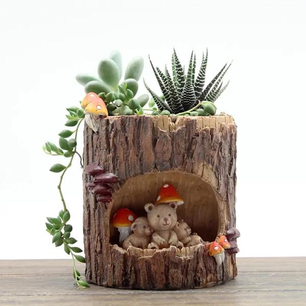 Sööt Musta Karhu Kukkakauppa Sedum Mehikas Ruukku Bonsai Lauta Laatikko Kasvipenkki Koti Puutarha Toimisto Pöytä Sisustus