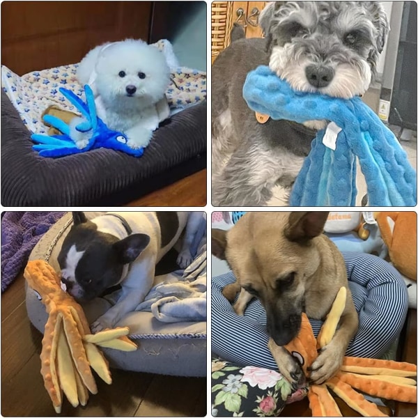 Uopslideligt hundelegetøj, 2 stykker 32 cm knirkende hundelegetøj, uforgængeligt plyshundelegetøj, knirkende legetøj til hundehvalpe, interaktivt hundelegetøj, blå + grøn