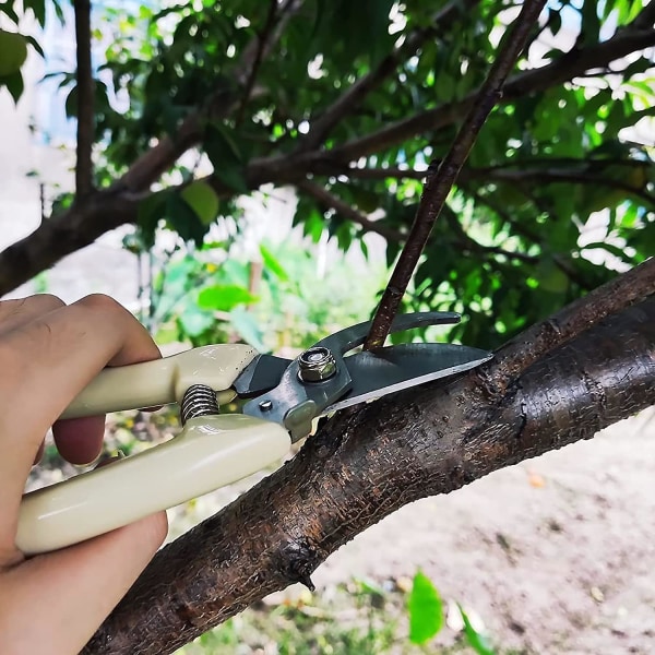 Hagesakser Håndbeskjærer Beskjæringssaks for grener, blomster, fruktplukking, trimming av planter, bonsai (1 stk, elfenbenshvit)