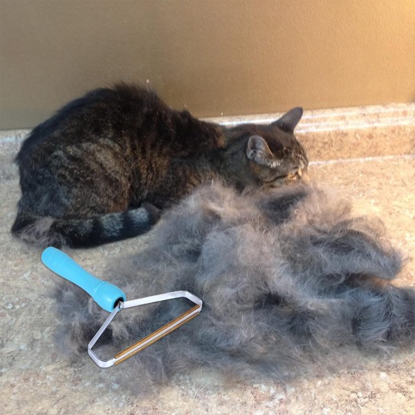 Husdjurs Hårfjernare för Soffa, Ludd Remover, Hundhårfjernare för Kläder, Katt Hårfjernare för Möbel, Matta Rake Skrapa (1PCS