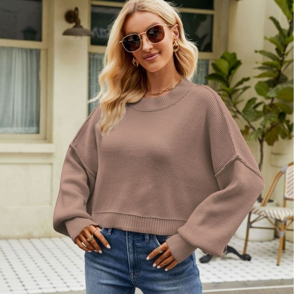 Dam Färgblockade Tröjor Långärmad Rundhalsad Pullover Stickad Jumper Toppar Coffee color XS