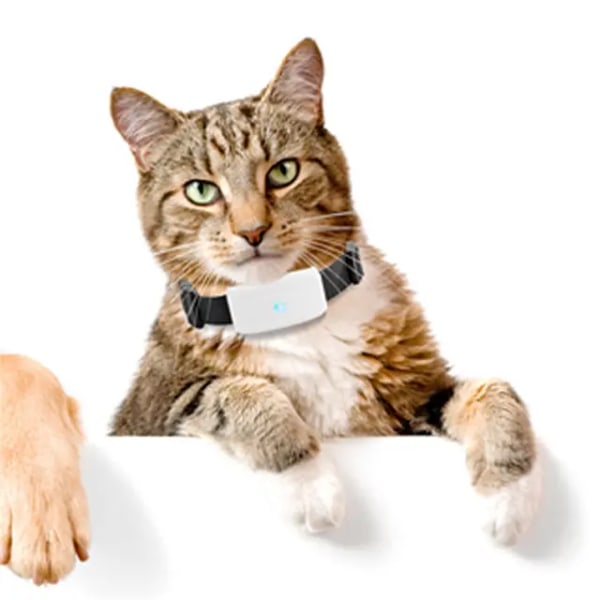 GPS Tracker Hund GPS-halsband för hund, katt eller vilket husdjur som helst, vattentät IP66, batteri i upp till 7 dagar, realtidsspårning