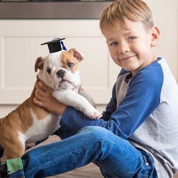 2 stk. Gradueringspet Kostume Sæt Med Pet Graduation Og Gradueringshue Blå 5.5X3.5CM Blue 5.5X3.5CM
