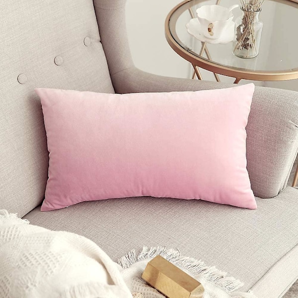 Set med 2 Sammetskuddfodral Dekorativa Soffa Kuddfodral Super Mjukt Mjukt Bekvämt Dekoration Hem Vardagsrum Sovrum För Soffa 65x65cm Ljus B