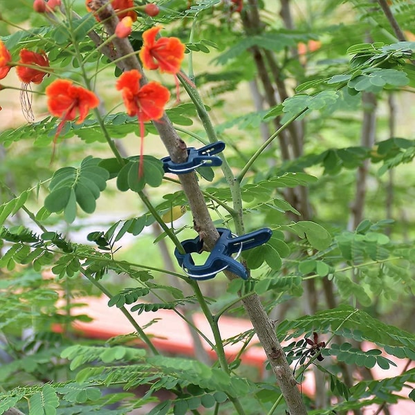 Skonsamma växt- och blomklämmor för stöd av stjälkar Trädgårdsklämma, grenklämma, trädgårdsklämma trädgårdsredskapsset (20 st, grön)