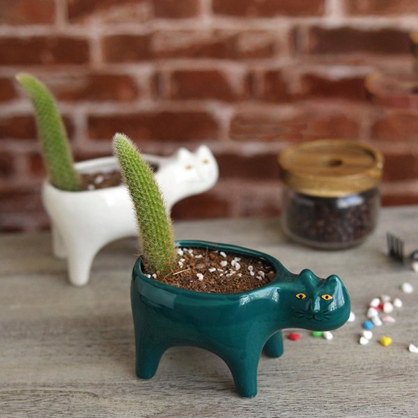 Sød kat keramik have blomsterpot dyr billede kaktus plante planter sukkulent plante beholder tab