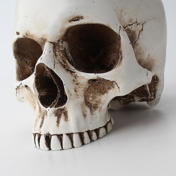 Skull Desktop -kukkaruukku Luova kotipuutarhanhoito Hengittävä kukkaruukkukontti Toimistopöytäkoneen kukkaruukku