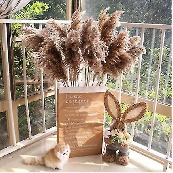 20 kpl Pampas-ruohoa, Luonnollinen Kuivattu Boho Teko, Kimppu Hää