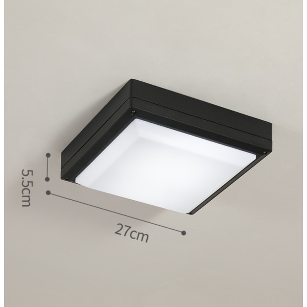 Vedenpitävä LED-kattovalo, LED-kattolamppu IP65 olohuoneeseen, kylpyhuoneeseen, toimistoon, ulkokuistille ja muihin (18w + valkoinen valo D)