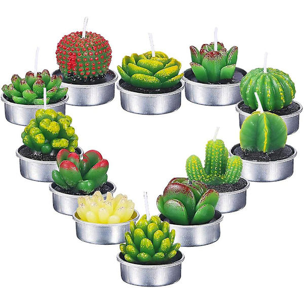 12 Kaktusljus, Konstgjorda Växtsucculentljus, Alla hjärtans dag Tevaxrosljus för Fester, Bröllop, Mors dag, HeminredningB B