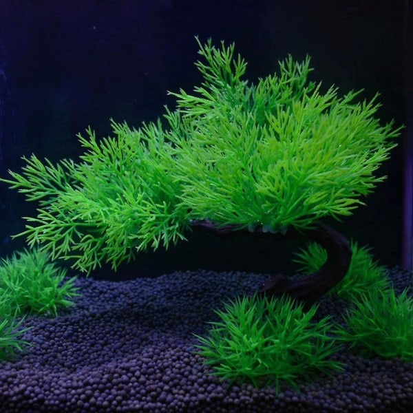 Akvarium, akvariedekoration, 2 kunstige akvarieplante træ sæt fisk akvarie dekoration mixstyle