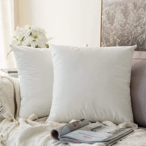 Set med 2 Dekorativa Sammetskuddfodral Soffa Kuddfodral Super Mjukt Mjukt Bekvämt Dekoration Hem Vardagsrum Sovrum För Soffa 40x40cm Grå