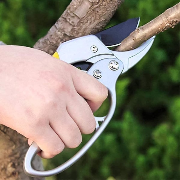 Trädgårdssax, professionella sekatörer med låsmekanism för trädgårdsträd, växter, häckar och blommor