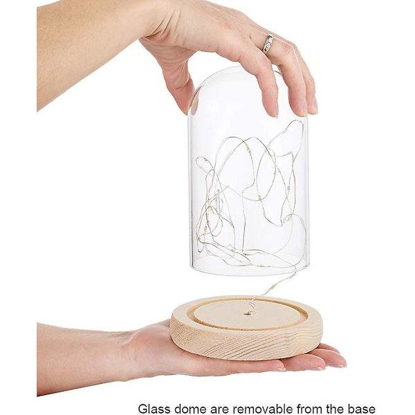 Glas Klokke Dekoration Med Kork Bundplade Glas Hætte Glas Kuppel Dekorativ Glas Doma Med LED Lys Kæde Batteri Til Display Kuppel Lampe, Dekorativ