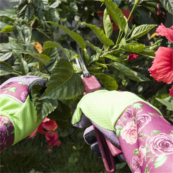 Hagehansker med lange ermer, håndleddsbeskyttelse, hagearbeid, beskjæring, rosegartner, beskyttende hansker, unisex, ett par (lilla)