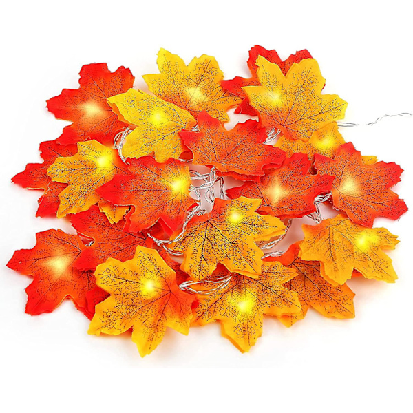 Lønneblade Feelyse, 3 Meter 20 LED Feelyse Lønneblad Efterårs Girlande Til Bryllup Hjem Efterår Jul Thanksgiving Ferie Udendørs Dekoration