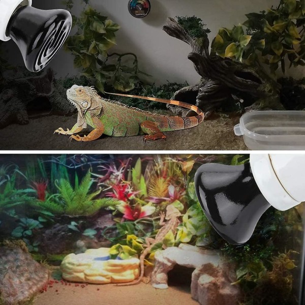 Mini Infrarød Keramisk Varmestråler Pet Lampe Reptil Lys Pære 100w