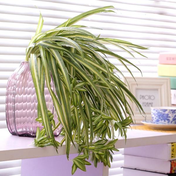 RYI_2-pak Kunstige Blomster Edderkoppeplanter Falske Silkeblomster Faux-4-