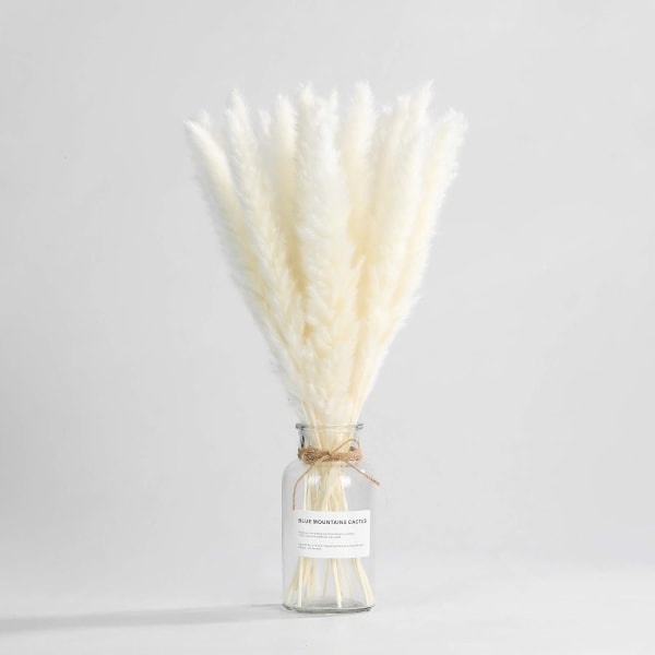 30 stk Naturlig Tørket Gras - 19,7 tommer Reed Plumes, Tørket Bukett med Blomsterarrangementer Boho Hjem Bryllup Kjøkken Kontor Dekor