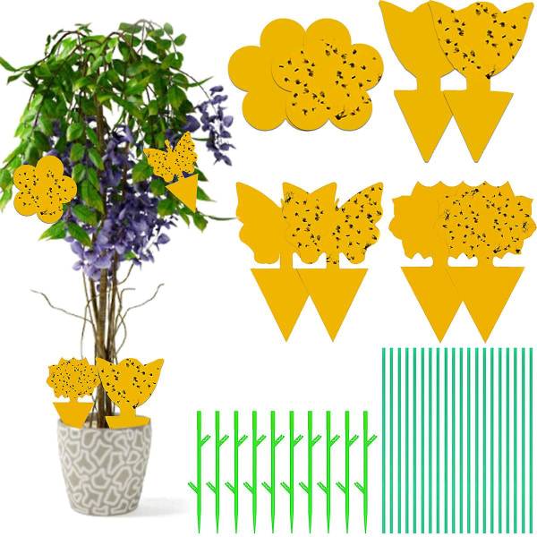 30 kpl Keltaisia ​​-tikku Keltaisia ​​Tabletteja, Hautauskoja, Keltainen Ansa Lentävä Ansa Puutarha, Keltainen Tabletti Hyönteiset Huonekasveille Ruukkukasveille, Inc