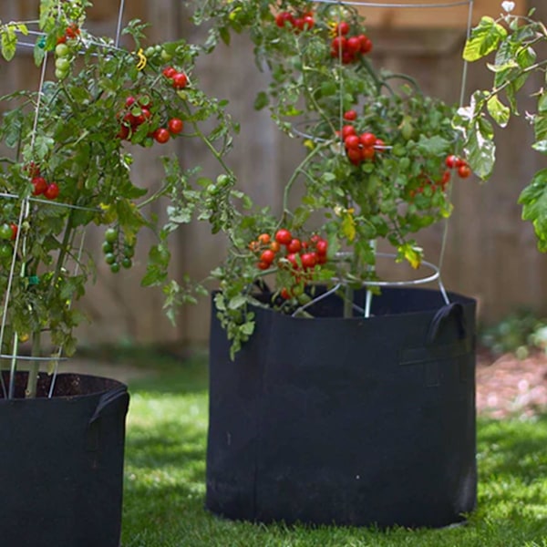 6 st (10 gallon) Blomkrukor, Krukor för inomhusväxter Stora Krukor för inomhusväxter Kruka Modern Dekorativ Plantering Krukor Utomhus