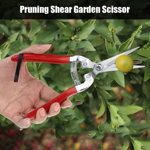 Trädgårdsrosbeskärningssax, professionell handsekatör med raka/böjda blad i rostfritt stål, beskärningsknipsare, blomsterarrangemang, växttrimning, frukt