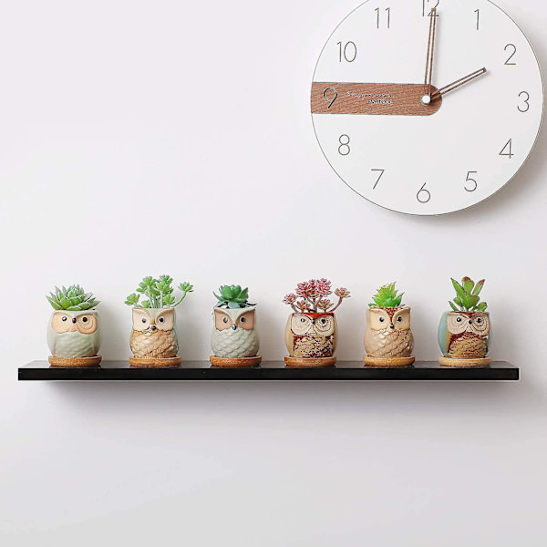 6,5 cm keramisk plantepotte, sukkulentkrukke med bambusbrett og ugleform for 6, med dreneringshull, Pottaler-potte for hjemmekontor, stue, stue