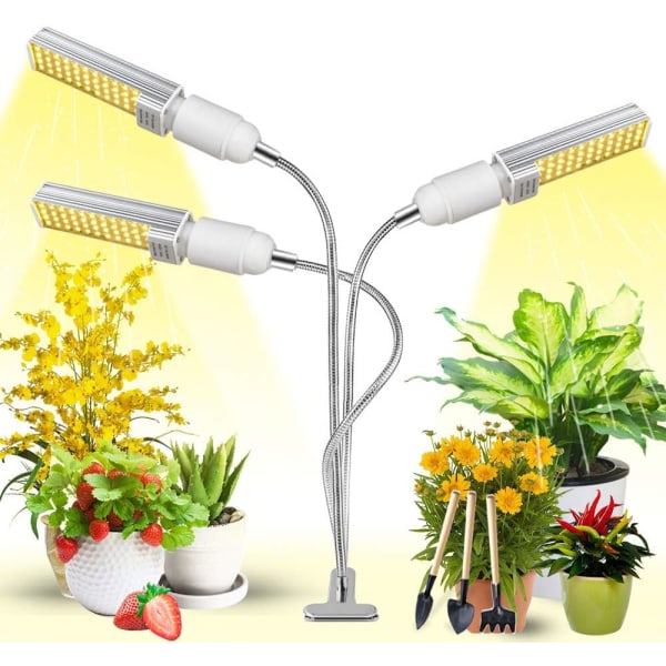 Fullspektrum LED-plantelys, maisfylllys