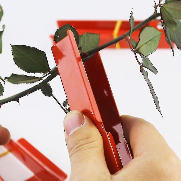 DIY Skæreværktøj Blomsterhandler Metal Beskærer Have Blomst Rose Torn Stilk Blad Stripper Rose Tang Fjernelse af Grater Frugtplantage Haveværktøj
