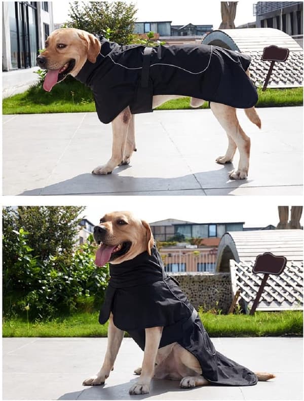 Hunde-vinterregnfrakke, vandtæt og vindtæt med varmt fløjlsfor og reflekterende striber, til mellemstore hunde, sort, XL