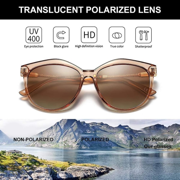 Solbriller for kvinner med polariserte glass, UV-beskyttelse, gjennomsiktig ramme, brun ramme Transparent Brown Frame Brown