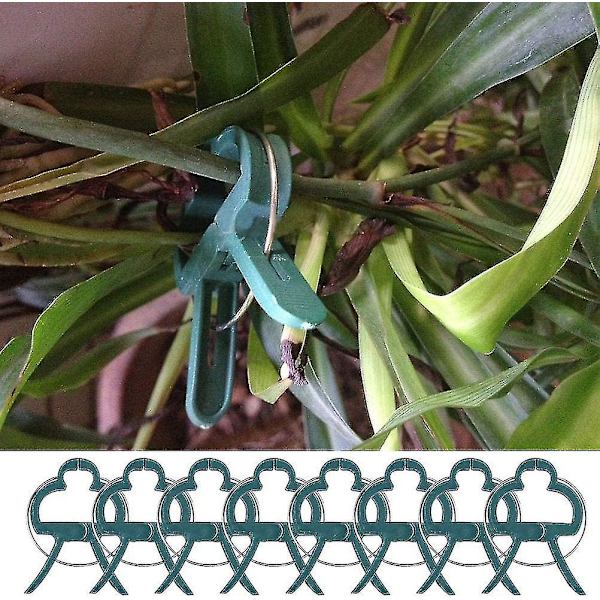100 st Plantclips, Fjäderklämmor Växtstöd för Tomater och Klättergrönsaker
