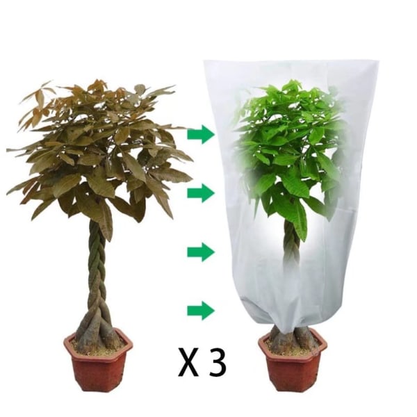 Vinteröverdrag för Växter, Icke-vävd Vinterträdsskydd med Dragkedja, 3-pack, 60 x 80 cm