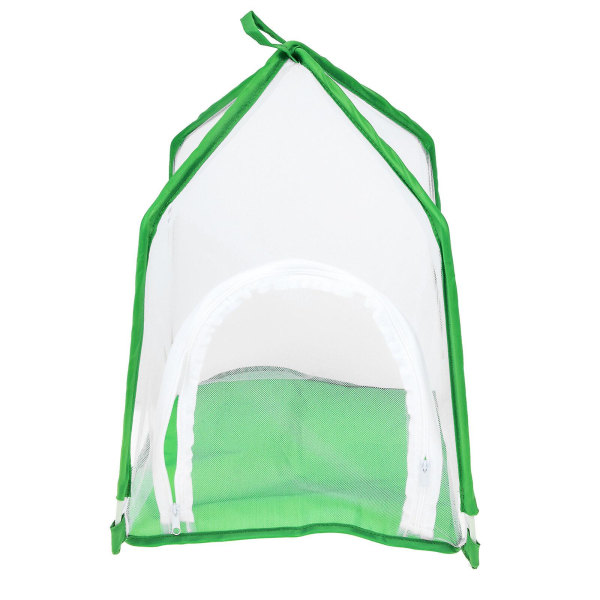 Glasbehållare Terrarium Fjärilar Inkubator Uppfödningsbehållare Nätbur Sortiment Färg 40x31cm Assorted Color 40x31cm
