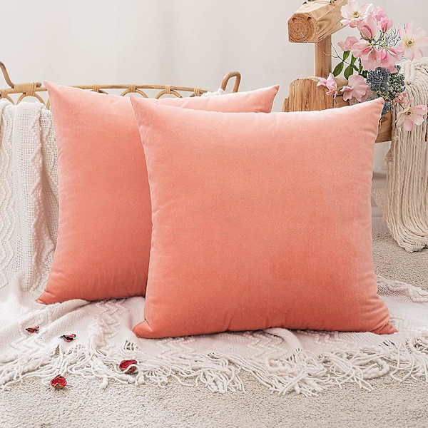 Sæt af 2 Dekorative Fløjls Pudebetræk Sofa Pudebetræk Super Glat Blød Dekoration Hjem Stue Soveværelse Til Sofa 2 Stykker 30x30cm Jam