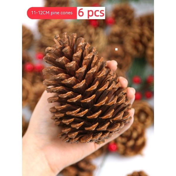 9-10cm 6 stk Naturlige Fyrrekogler, Store Fyrrekogler, Naturlige Fyrrekoglepynt Store Fyrrekogler til Efterårs- og Vinterdekoration