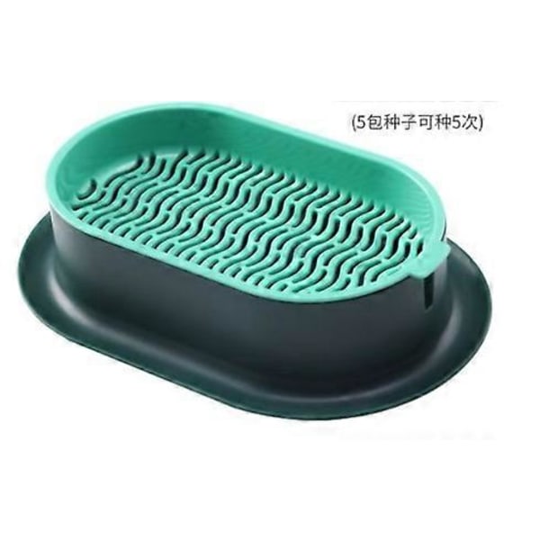 RYO_2 Set Kattgräs Planter Hydroponisk Planteringslåda Jordfri Kattmynta Planteringslåda Kattgräslåda 18.5X12CM