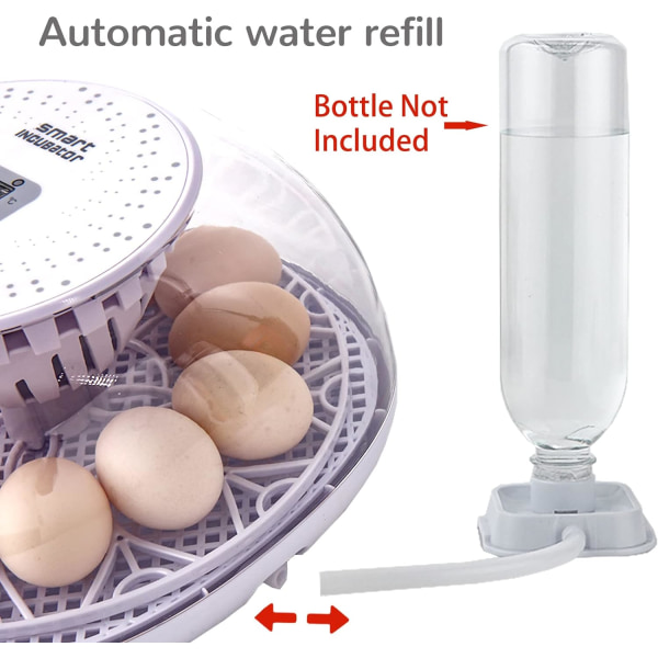 Automatisk Inkubator for Klekking av Kyllinger 12 Egg Fjørfeklekker for And Gås Vaktel Fugler Automatisk Vannfylling 360 Graders Visning