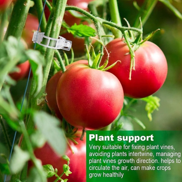 Växtklämmor, plast, klämmor, hängklämmor, vinklämmor, klämmor för växtväxter, stöd tomater, paprika, vinväxter och blommor av upprätt utveckling
