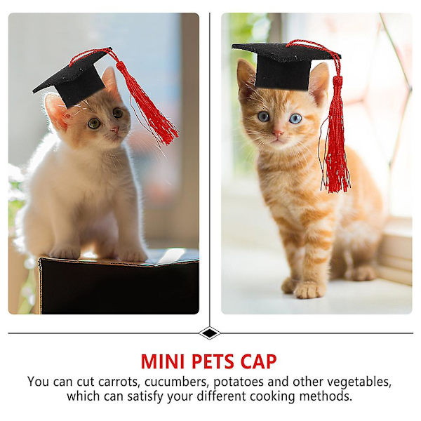 2 stk Miniatyrgaver Gradhette Kjæledyr Katt Graduation Hat Graduation Caps Gowns Hunder Hund CapsRød 5,5X3,5C Red 5.5X3.5CM