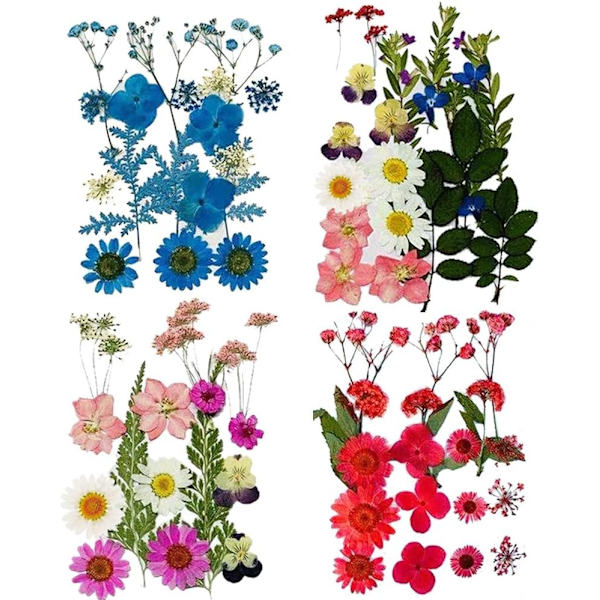 Naturliga torkade blommor, 4 set torkade buketter, blomsterhantverk, handgjorda kronblad och blad för resin, scrapbooking, smyckestillverkning, hängehantverk.