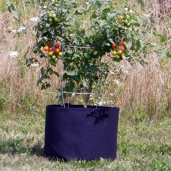 6 st (10 gallon) Blomkrukor, Krukor för inomhusväxter Stora Krukor för inomhusväxter Kruka Modern Dekorativ Plantering Krukor Utomhus
