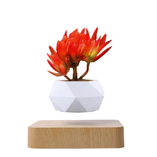 Levitating Air Bonsai Pot, Roterende Blomsterplanter, Magnetic Levitation Suspension Flytepotte, Potteplante Skrivebordsdekor i blomsterpotter og plantekasser fr