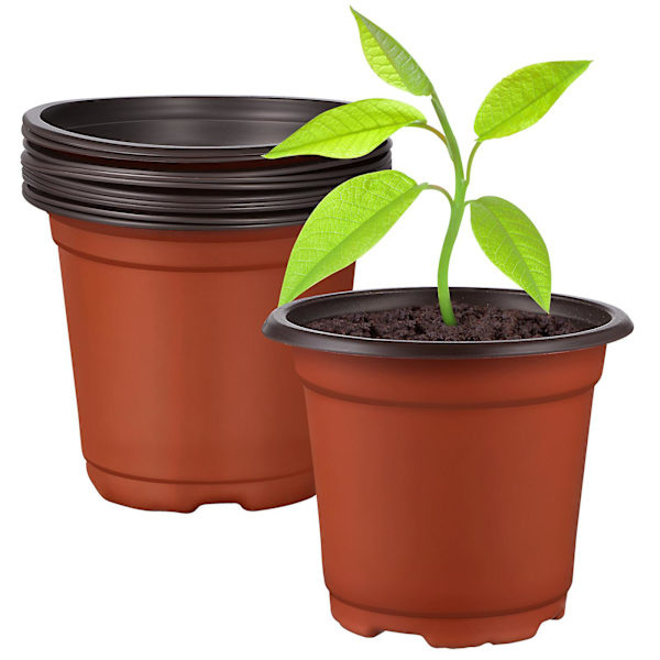 10 stk. Stueplanter Indendørs Levende Blomsterpotter Sukkulenter Plantepotter Havepotter Plantepotter Udendørs Planter